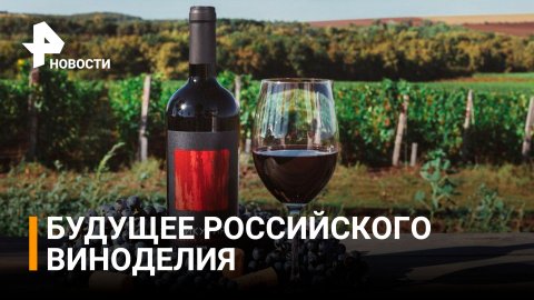 Российское вино сможет конкурировать с европейскими сортами? / РЕН новости