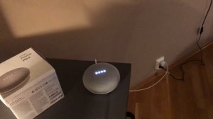 Google home mini Norsk