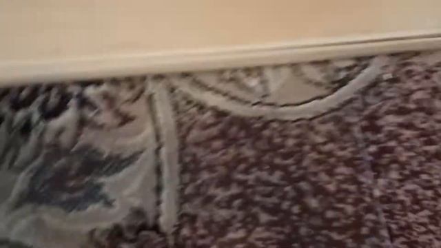 Стеллаж для морской свинки своими руками  Как сделать клетку для морской свинки  Клетка своими рука