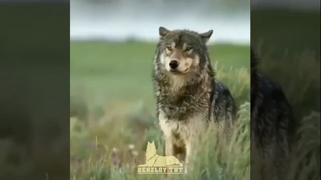 Напутствия для правильной жизнь смотреть онлайн