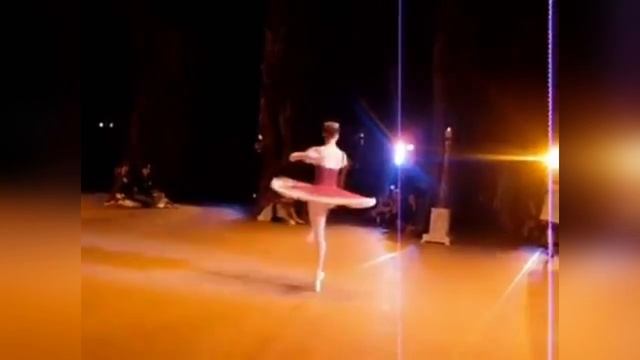 Николай Цискаридзе "Корсар" Парижская национальная опера. Взгляд из-за кулис , январь 2008 г. смотреть онлайн