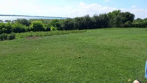 Жизнь в ауле. обзор хозяйства и планы на стройку