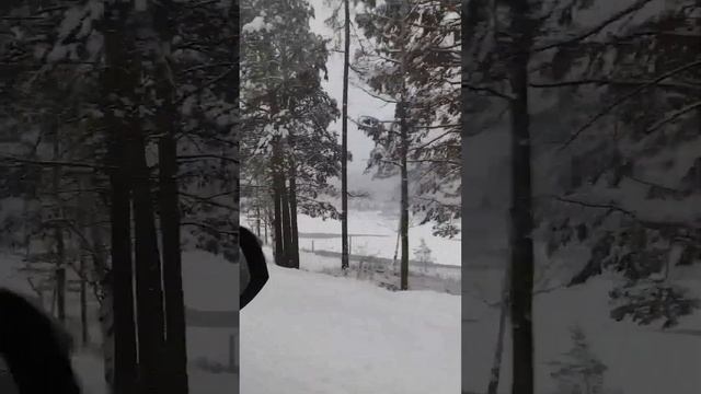 Начни день с Молитвы и Хвалы Богу!!!???❤️❤️❤️ смотреть онлайн