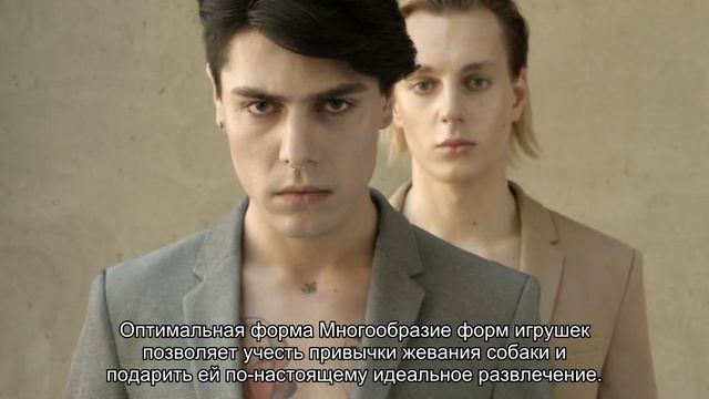 Как выбрать игрушку для собаки? смотреть онлайн