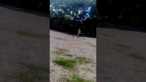 Забили в пах Боль не имоверная