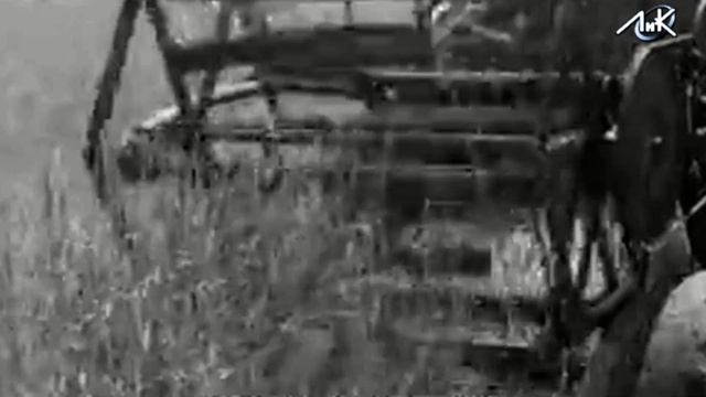 Совхоз "Правда" Лужского района. Июнь 1963. смотреть онлайн