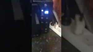 как быстро и легко сделать бургер-сэндвич в домашних условиях