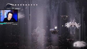 5 пантеон | день 2 | Hollow Knight [стрим 10]