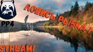 Russian Fishing 4 /Русская рыбалка 4 по рыбным местам с нуля