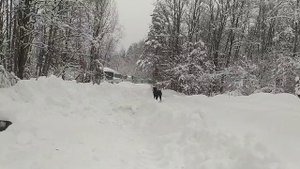 ЮМЗ-6 Заглох мотор. Батя спешит на помощь. Прокачка топливной. Уборка снега 2022