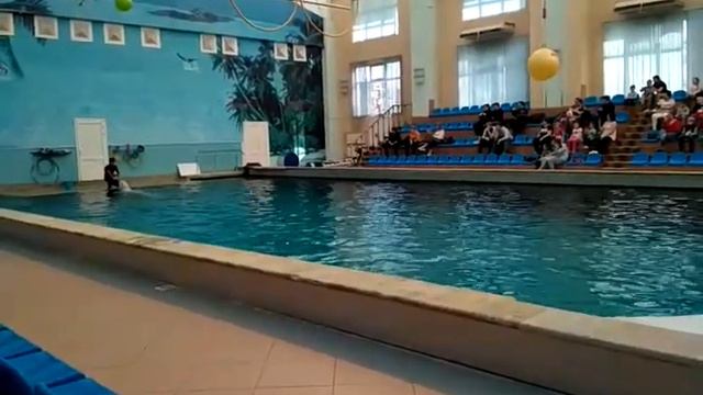 Белый кит смотреть онлайн