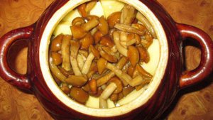 Картошка тушеная с грибами и курицей в горшочке