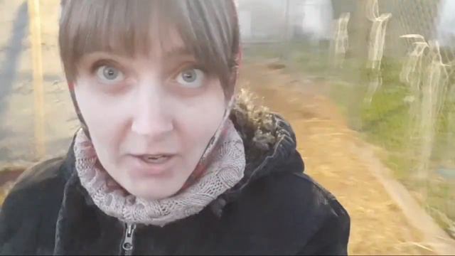 Стрим# 13. Вечер. Дойка. Разговор. смотреть онлайн