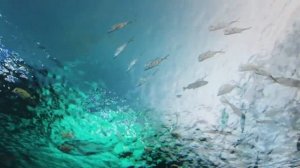 Аквариум/ расслабление для детей