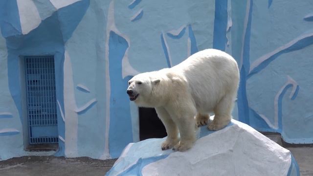Герда, Кай и аниматоры. 05.06.2022 смотреть онлайн