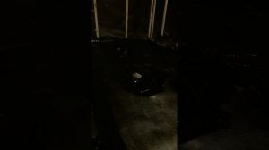 Из старого сарая новая баня часть 2