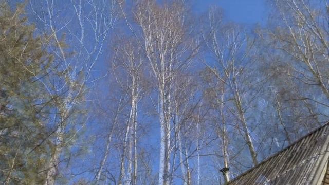 Поездка на дачу смотреть онлайн