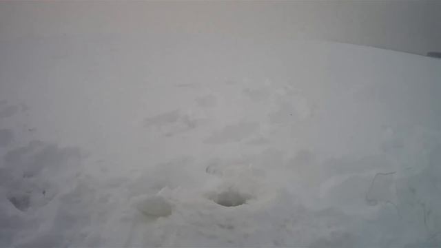 Зимняя-Рыбалка у города Череповца смотреть онлайн