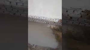 Aspro 6000 Безвоздушная окраска бетонного пола краска Престиж