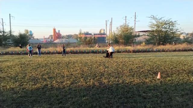 2 V   СС Сантлаурис ЭГОН (Team Zilber Wasserfal Bacio – Сантлаурис Витара) 25 +++