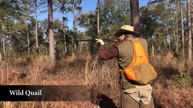 Lake Rainey смотреть онлайн