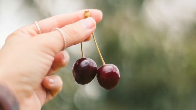 ЧЕРЕШНЯ может вызвать необратимый процесс. Что творит ЧЕРЕШНЯ?