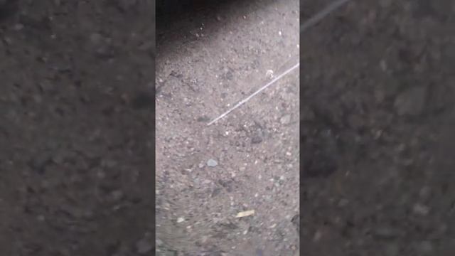 вскрытие крышки топливного бака на грузовом автомобиле(тягаче без ключа. потерял ключ от бака смотреть онлайн