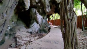 railay краби райли рейли island обзор 2022 diamond cave пещера фаллоса railay East railay west beac