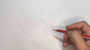 Как нарисовать осенние листья