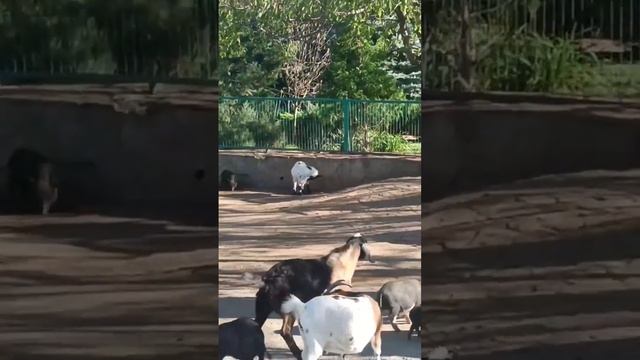 Ноябрьская поездка в ТАЙГАН!