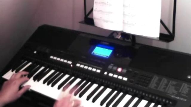 Words- Yamaha PSR E433 keyboard cover смотреть онлайн