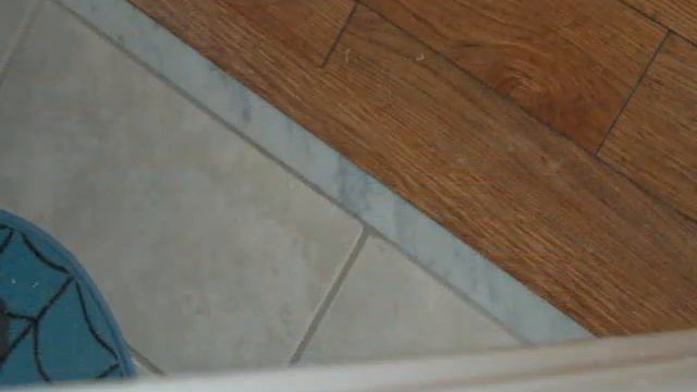 Wood House Floors Laminate Floor Tampa Installation.wmv