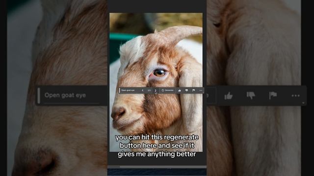 Open Goat Eye in Adobe Photoshop Beta ? #photoshopbeta