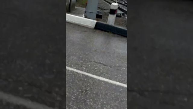 2 ласточки Владимир Иваново