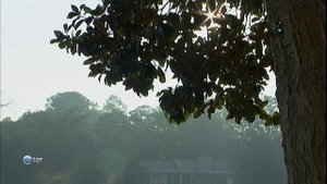 Всё об Америке «Луизиана» (документальный сериал, 2003-2007)