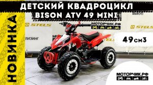 Квадроцикл Bison ATV 49 Mini