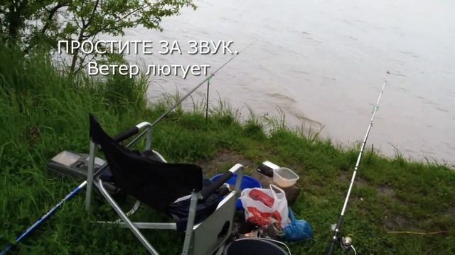 9.05.23 Рыбалка на ГЭС4 Невинномысск. Это вам не Астрахань. смотреть онлайн