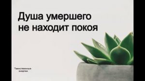 Почему в доме часто ломается техника и бьются вещи