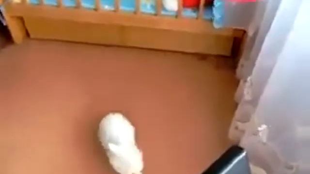 А что это такое бумкнуло? смотреть онлайн