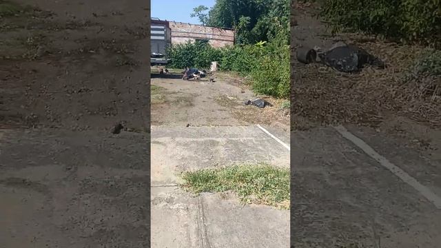 Предстоящий ремонт Газели Некст смотреть онлайн