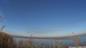 Охота на утку в Сибири.