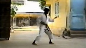 Школа Чой Кен До   часть 1