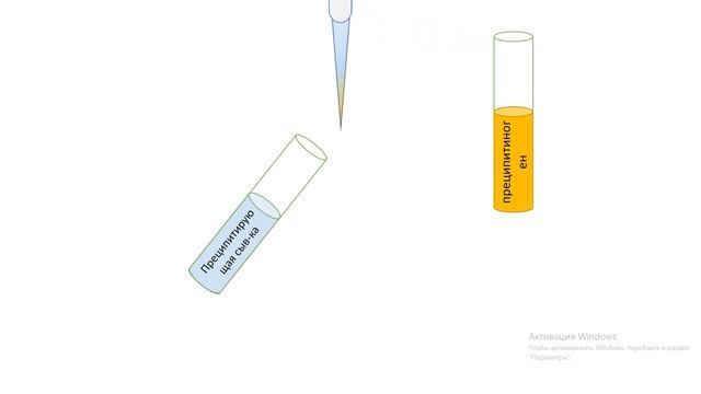 Этапы постановки реакции кольцепреципитации смотреть онлайн