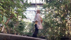 Фондовая оранжерея Главного ботанического сада им. Н. В. Цицина, Moscow Greenhouse