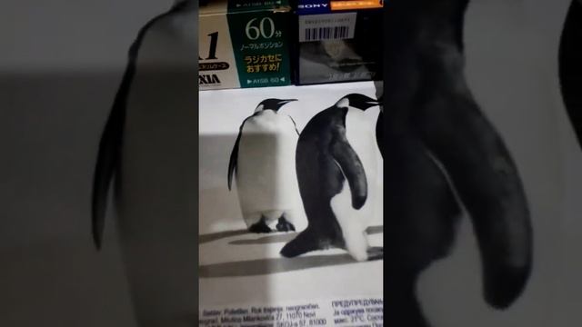 Японский букет:Аудиокассеты Япония Германия Гонконг и Японский БАСФ смотреть онлайн