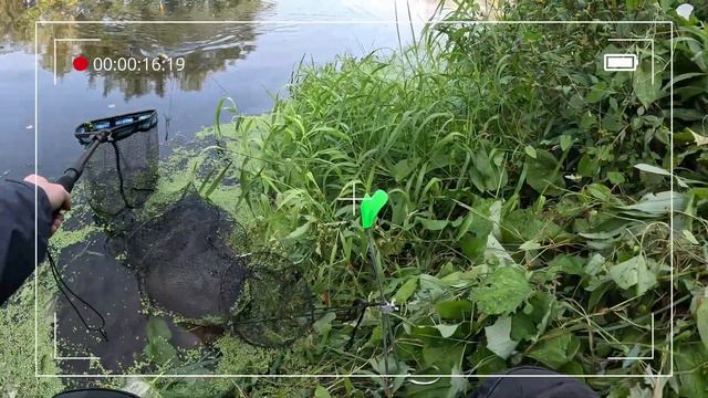 р. Пехорка или Секундная невнимательность рыбака=минус 1.5 часа клёва смотреть онлайн