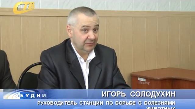 УТВЕРЖДЕН ГРАФИК ОТЛОВА БЕЗНАДЗОРНЫХ ЖИВОТНЫХ смотреть онлайн