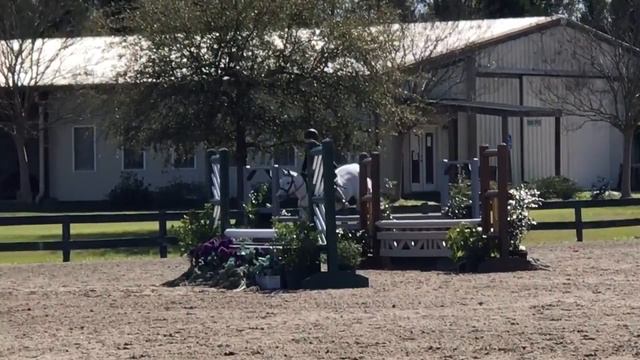 May B Tango Classic Trip March Madness смотреть онлайн