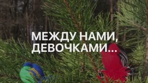 Между нами девочками