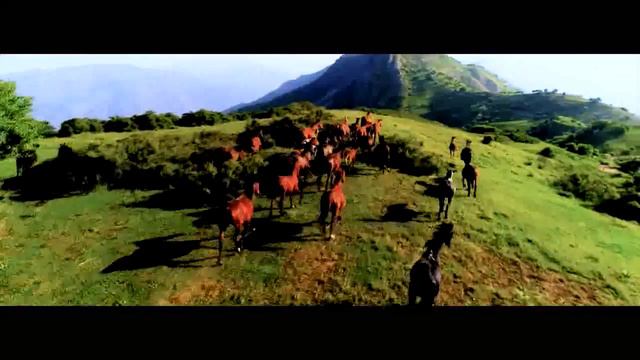 Амрохон Рахимов - Рахши Сафед  Amrokhon Rahimov - Rakhshi safed